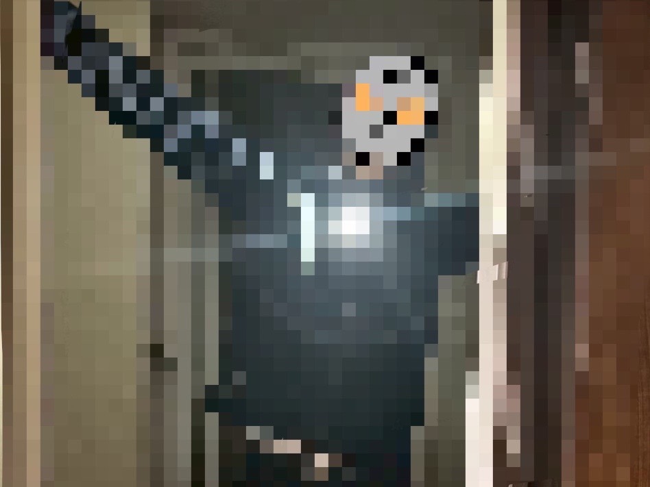 ウ〇トラマンカガヤ参上⁉️ 画像