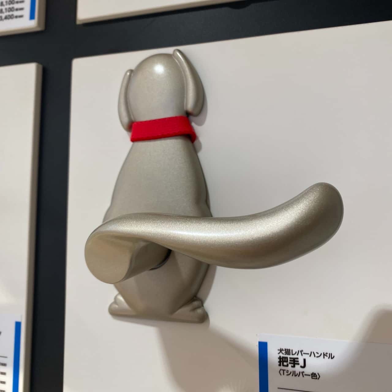 🐶ショールームで思わずパシャリ！ 画像